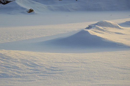 雪地