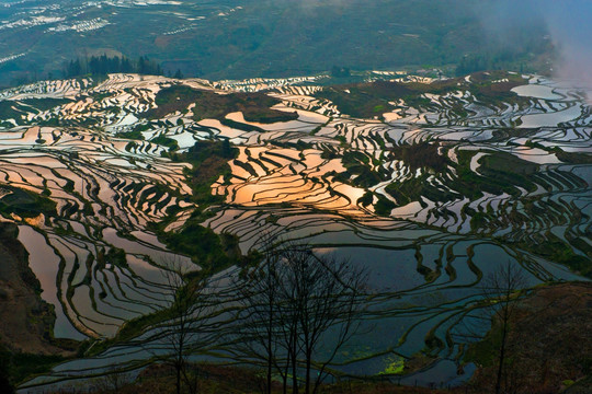 元阳梯田