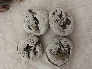 柿饼 