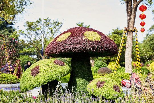 蘑菇造型绿色植物造景园林艺术
