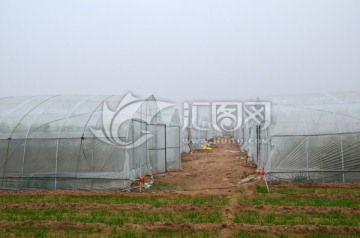 塑料大棚