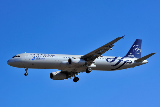 天合联盟 空中联队 飞机