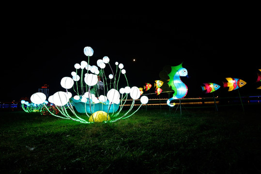 兰溪市中洲公园夜景 海洋生物