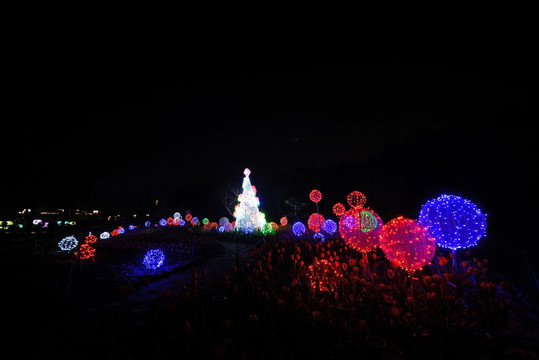 兰溪市中洲公园夜景 花灯