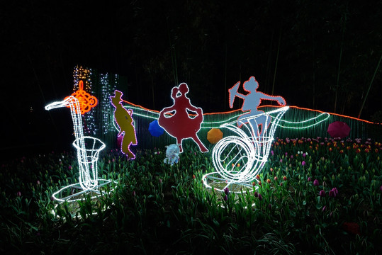 兰溪市中洲公园夜景 乐器花灯