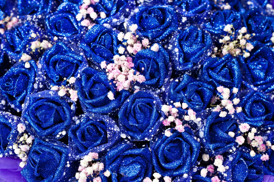 蓝玫瑰
