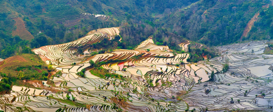 老鹰嘴梯田全景图