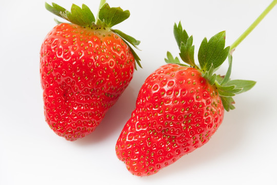 草莓 素材 创意 水果