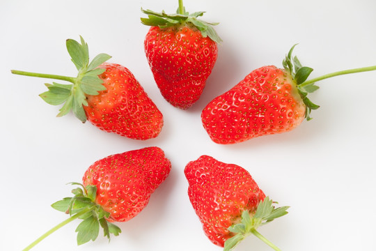 草莓 素材 创意 水果