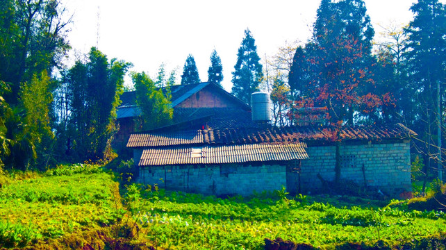 农家小屋
