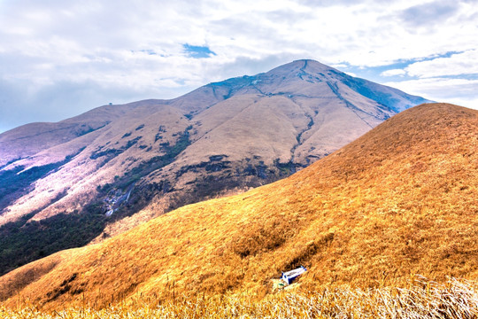 武功山高山草甸