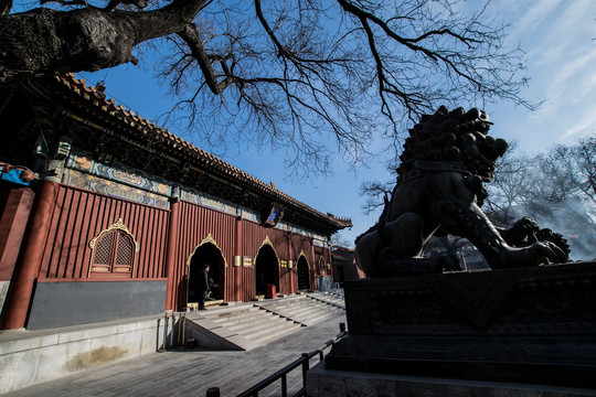 北京雍和宫 雍和门铜狮