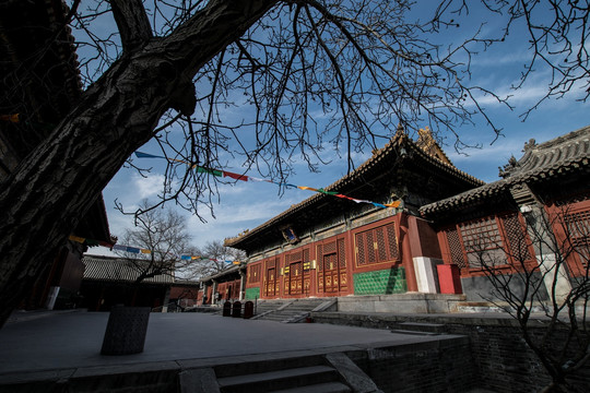 北京雍和宫 法轮殿