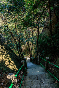 下山路 山路 树林 下山 小路