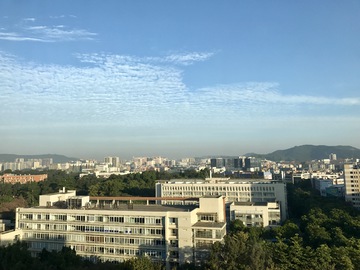午后 城市 