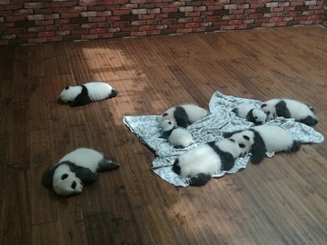 睡觉的熊猫宝宝