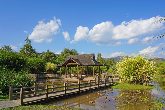 版纳植物园 水榭亭台 园林景观