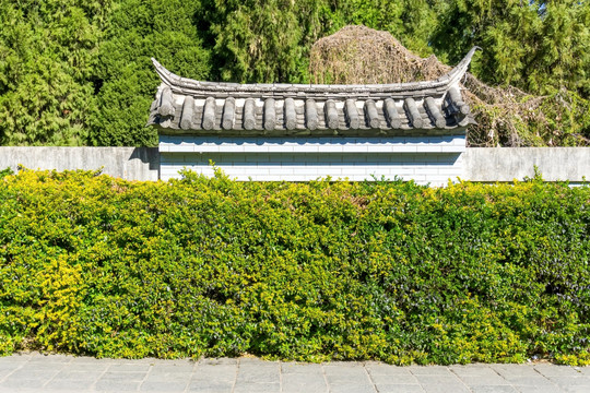 中式院墙绿色植物墙