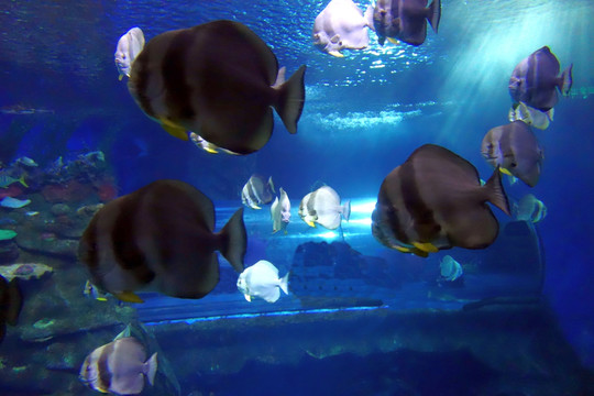 海底世界 水族馆