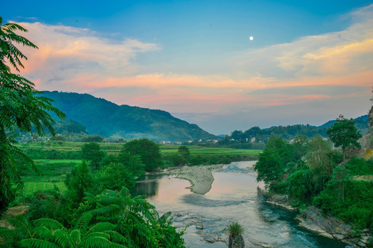 龙江河水稻基地