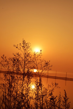夕阳