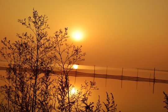 夕阳