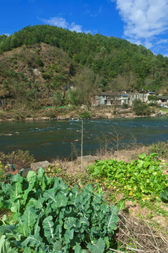 乡村田园风景