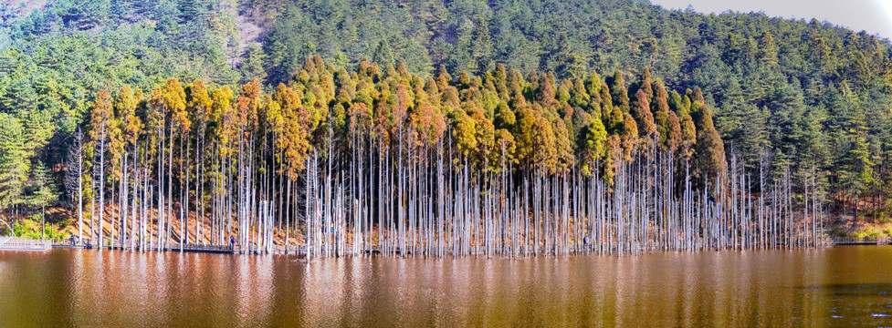 明月山山顶月亮湖全景