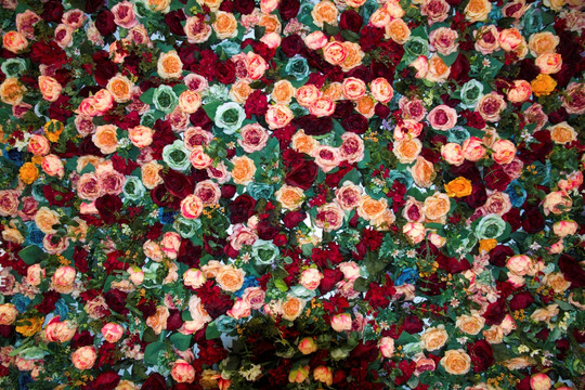 鲜花背景墙