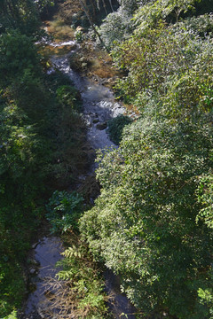 俯拍热带雨林 森林山谷河流