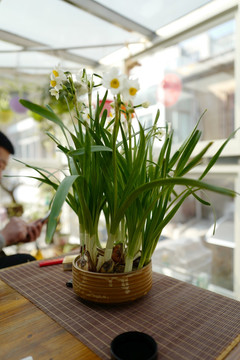 水仙花