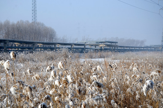 冬季油田 输油管道