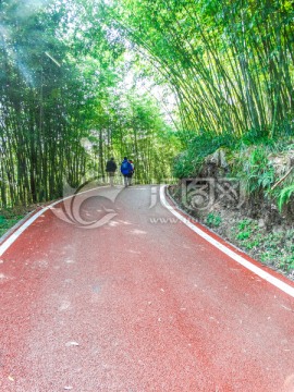 竹林步行道
