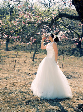 梨树下的新娘