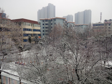 居民楼雪景 都市风光