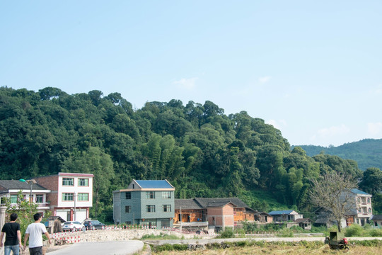 龙田代店远景