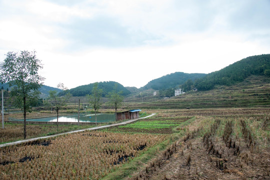 扶贫村旧貌