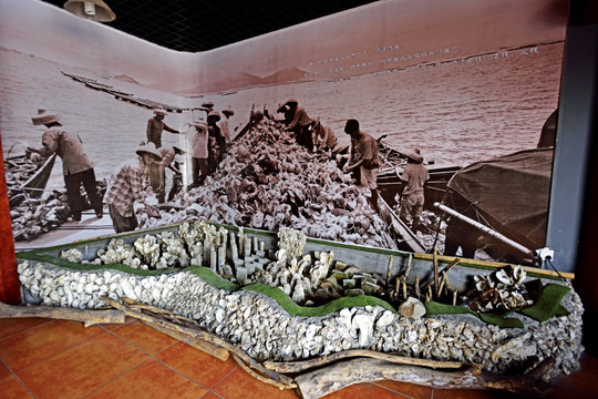 沙井蚝博物馆