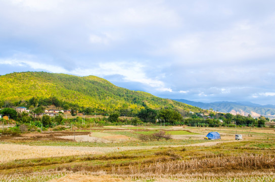 乡村