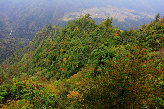 黄水大风堡