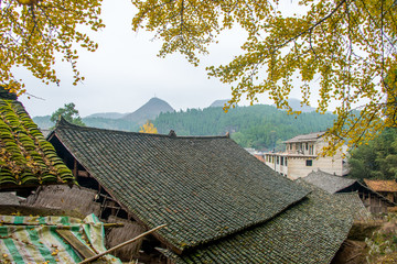 银杏古民居