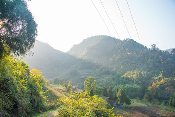 中洞山林特写