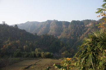 深山人家