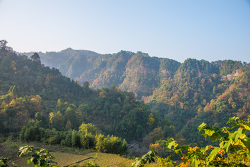 山林秋天