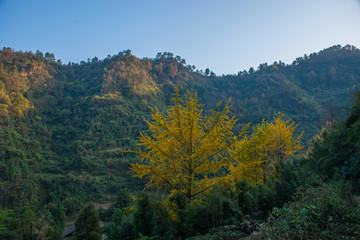 大有中洞远山