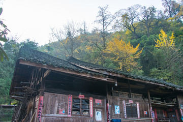 家住深山