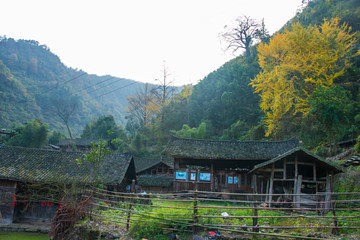 中洞木方
