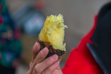 红薯特写