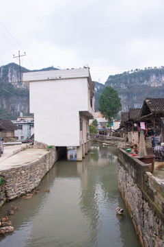 牧马水边人家