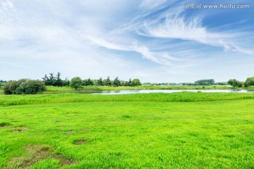 蓝天 草地